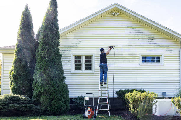 Best Affordable Power Washing  in Covington, VA