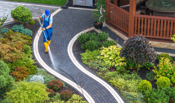 Best Roof Power Washing Services  in Covington, VA