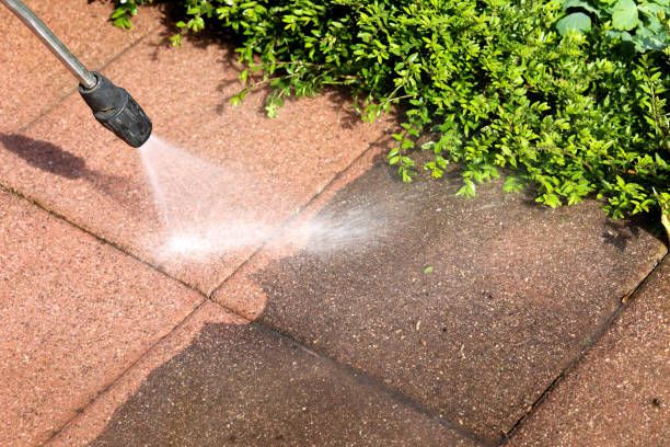 Best Best Pressure Washing Companies  in Covington, VA