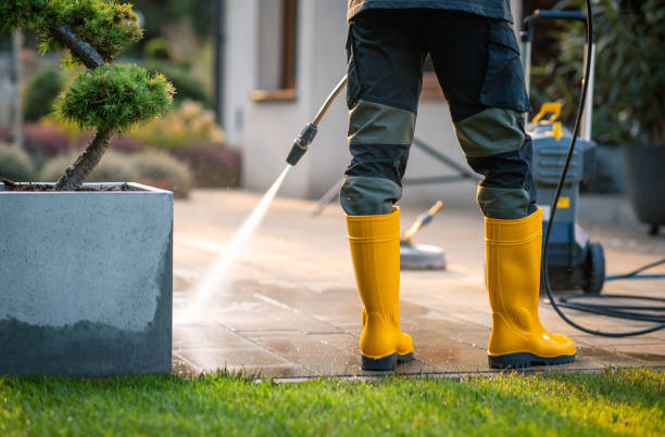 Best Local Pressure Washing Services  in Covington, VA